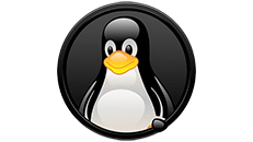 Linux Articles